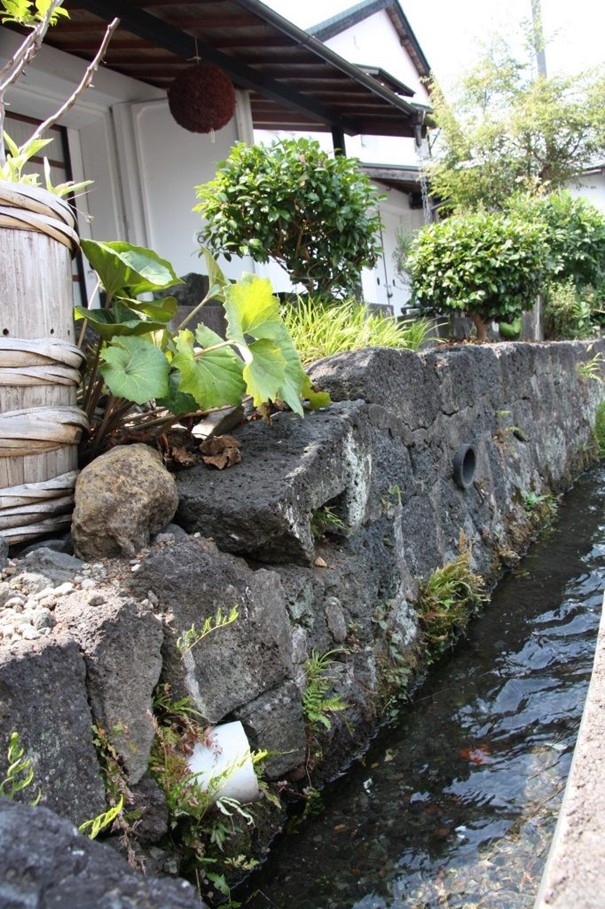 La brasserie Fuji Takasago est située au pied du célèbre mont Fuji